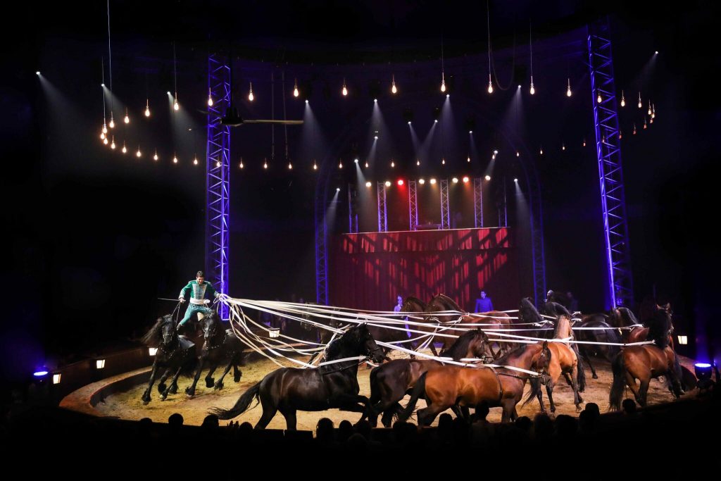 spectacle pour enfants avec des chevaux cirque Alexis Gruss Origines